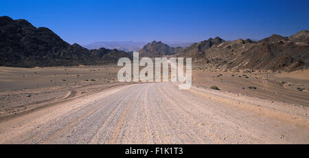 Route en zone Richtersveld Northern Cape, Afrique du Sud Banque D'Images
