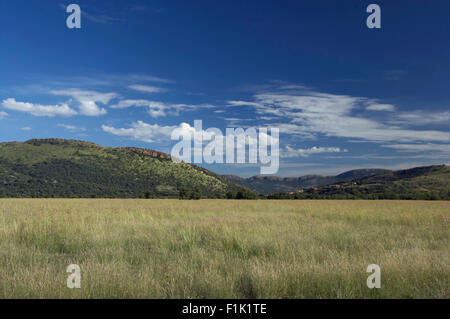 Magaliesberg, paysage, Province du Nord-Ouest, Afrique du Sud Banque D'Images