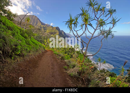 Côte sauvage de la Kalalau trail, Kauai, Hawaii Banque D'Images