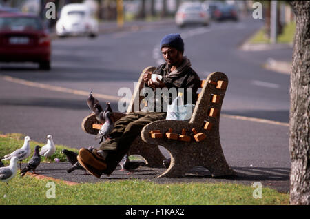 Homme assis sur un banc de nourrir les pigeons, Seapoint, Cape Town, Afrique du Sud Banque D'Images