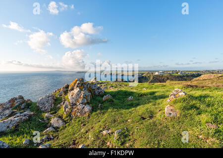Le Lézard côte de falaises, au-dessus Meneau Cove à Cornwall Banque D'Images