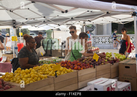 Les gens magasinent à l'outdorrs marché de fermiers à Grand Army Plaza, à Brooklyn, New York. Banque D'Images