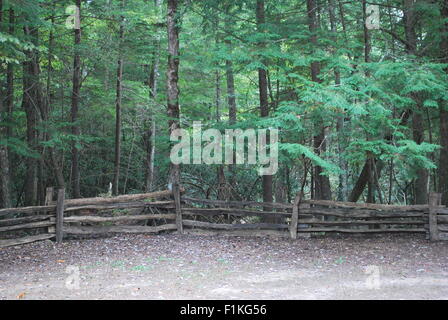 Une vieille clôture en bois avec une forêt en arrière-plan. Banque D'Images