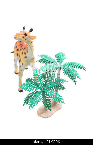 Un petit jouet girafe avec des arbres isolés sur un fond blanc. Banque D'Images