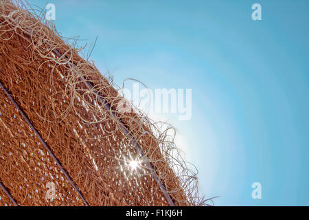 Image d'arrière-plan d'une vue relaxante de sous un parasol de paille avec le soleil brillant et ciel bleu idéal pour des vacances de luxe Banque D'Images