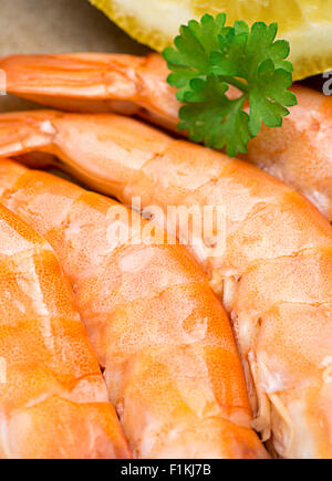 Vertical image du roi crevettes géantes préparées dans un bac avec du citron et le persil, pris avec un close up avec un focus sélectif. Banque D'Images