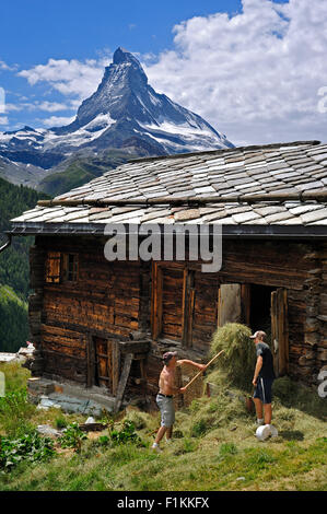 Matterhorn et farmer le stockage de foin dans le grenier traditionnel en bois / raccard près de Findeln, Valais, Alpes Suisses, Suisse Banque D'Images