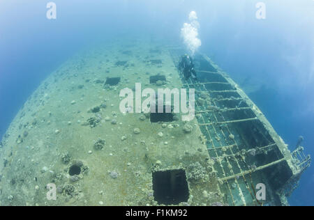Plongée sous-marine à la découverte d'un grand naufrage ferry sous-marine Banque D'Images