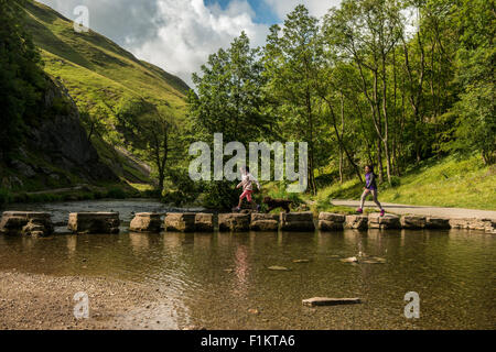 Kids crossing Stepping Stones avec le chien de la famille, Peak District, UK Banque D'Images