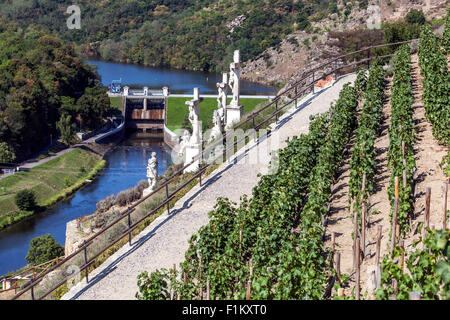 Vignoble tchèque sur le côté sud de la rivière Dyje, Znojmo, Moravie du Sud campagne République tchèque paysage Europe route des vignobles Banque D'Images