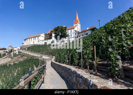 Vignoble tchèque, chemin de Znojmo dans le vignoble, vignoble de Moravie du Sud, Znojmo République tchèque, route du vignoble d'Europe Banque D'Images