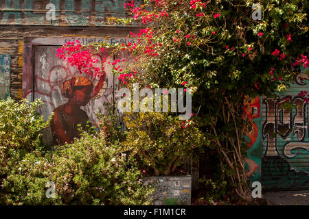 Allée doux est l'une des rues les plus marchait dans la Mission à cause de sa collection de peintures murales. Des images pour un usage éditorial uniquement. Banque D'Images