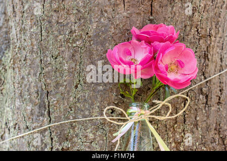 Trois pétales de rose dans une bouteille sur un arbre Banque D'Images