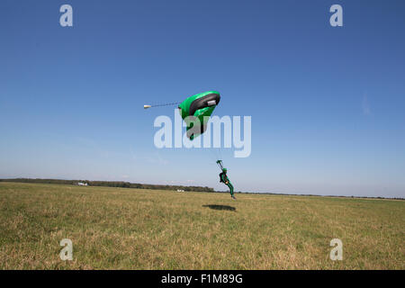 Parachutiste sous voile s'approche de la zone d'atterrissage après une skydive jump dans le ciel bleu. Banque D'Images