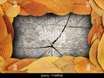 En bois foncé avec décor feuillage décoloré cerise frame Banque D'Images