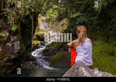 Pont sur la rivière dans la jungle balinaise, Indonésie Banque D'Images