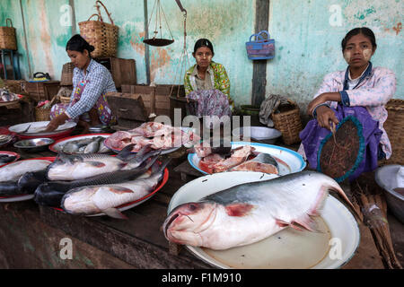 Femme de la région, la vente du poisson dans le marché Nyaung U, Bagan, Mandalay Division, Myanmar Banque D'Images