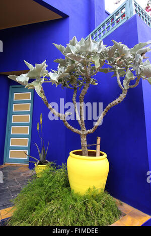 Entrée du studio du peintre français Jacques Majorelle, 1886-1962, dans le Jardin Majorelle, Marrakech, Maroc, Afrique Banque D'Images