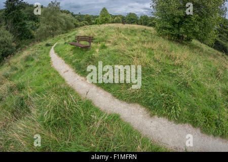 Paysage fisheye - parc municipal Lostwithiel. Restez sur le bon chemin métaphore, Covid Park banc réunions. Banque D'Images