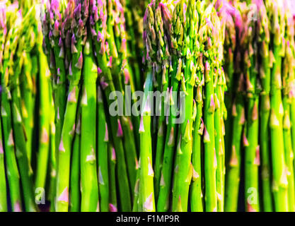 Violet d'asperges fraîches Banque D'Images