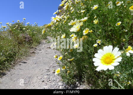 Marcher autour de roche à Imerovigli, Santorini Grèce Banque D'Images