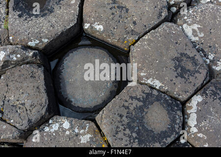 Colonnes de basalte érodées à Giant's Causeway, comté d'Antrim, en Irlande du Nord Banque D'Images