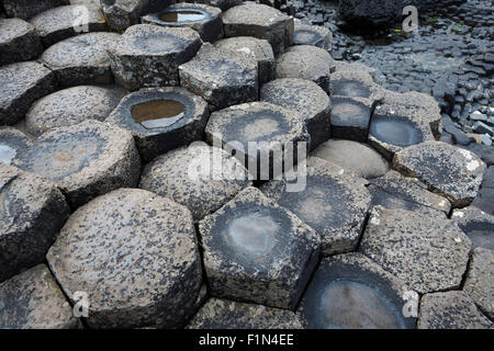 Bassin de marée et de colonnes de basalte à Giant's Causeway, comté d'Antrim, en Irlande du Nord Banque D'Images