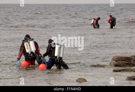 AJAXNETPHOTO - 20 août 2008, Brusviken, Gotland, Suède - HUMA - Patrimoine - Archéologie Sous-marin plongeurs bénévoles font doucement leur chemin hors de l'un des sites à 200 mètres de l'épave au large des côtes où les navires qui Danish-Lubeck a sombré au large de l'île en 1566 ont été trouvés. PHOTO:JONATHAN EASTLAND/AJAX REF:82008 1246 Banque D'Images