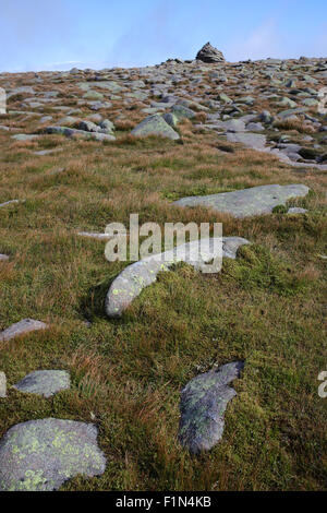 Suite chemin Glas-allt rivière menant à Lochnagar - Loch Muick à Lochnagar path - Aberdeenshire - Ecosse - UK Banque D'Images