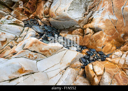 Rocky résumé de détails sur Abermawr beach à Pembrokeshire, Pays de Galles. Banque D'Images