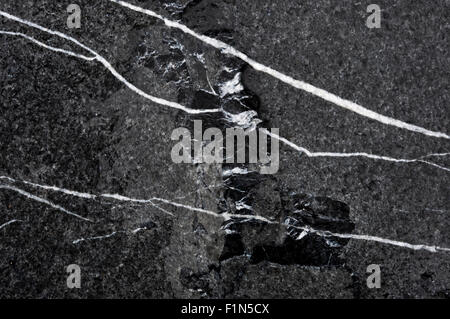 Lignes de quartz dans les roches sombres sur une plage de Pembrokeshire. Banque D'Images