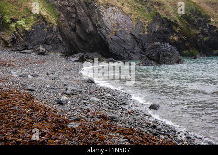 Une plage de galets près de Abermawr en Amérique du Pembrokeshire. Banque D'Images