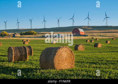 Bottes de foin et ferme, avec l'usine de Cowley Ridge wind turbines du générateur en arrière-plan, Cowley, Alberta Banque D'Images