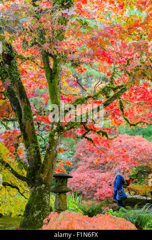 Jardin Japonais, les Jardins Butchart, Brentwood Bay, BC, Canada Banque D'Images