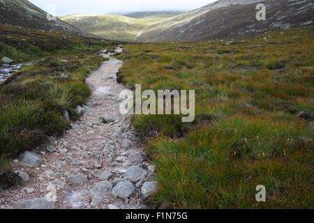 Suite chemin Glas-allt rivière menant à Lochnagar - Loch Muick à Lochnagar path - Aberdeenshire - Ecosse - UK Banque D'Images