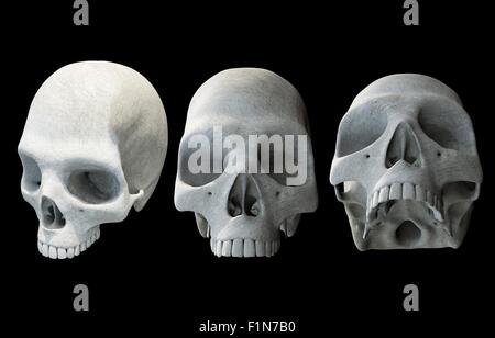 Des crânes humains 3D Illustration isolé sur fond noir solide. Trois crânes. Banque D'Images
