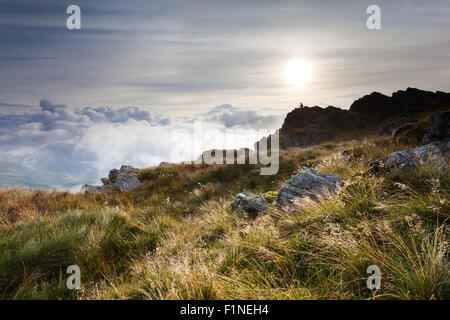 Harter est tombé sur des rochers à l'Scafells, Lake District, cloud inversion, photographe, la rosée sur l'herbe Banque D'Images