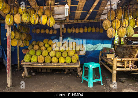 Fruits Durian street market stall, Sumatra, Indonésie. Durian considéré par de nombreuses personnes en Asie du sud-est comme le "roi des fruits" Banque D'Images