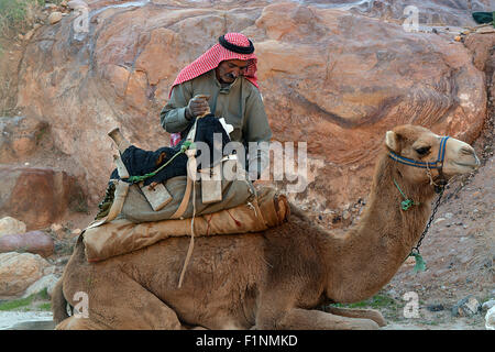 Les Arabes et les chameaux collection Banque D'Images