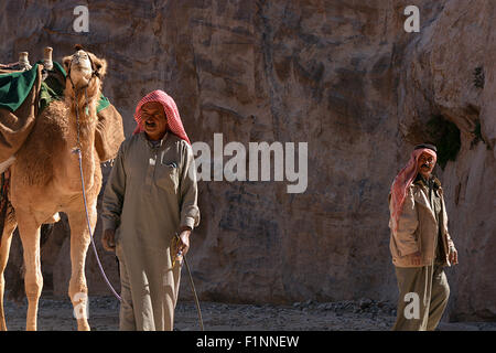 Les Arabes et les chameaux collection Banque D'Images