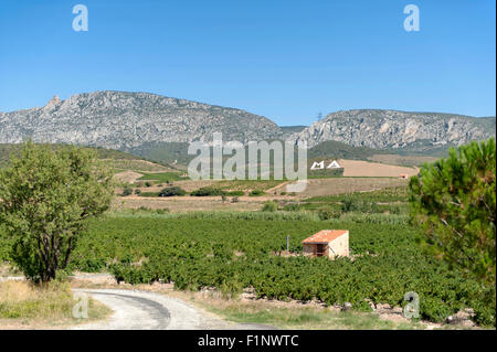 Route de campagne qui serpente vers le Mas Amiel, un légendaire Maury cave dans la vallée de l'Agly, Côtes du Roussillon, dans le sud de la France Banque D'Images