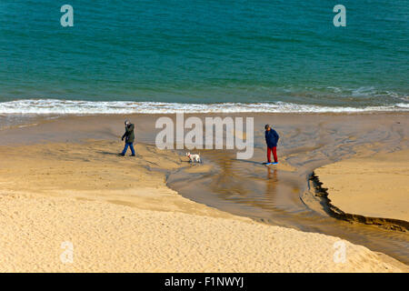 Tôt le matin, les promeneurs de chiens sur la plage de Carbis Bay, Cornwall, England, UK Banque D'Images