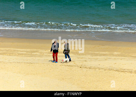 Tôt le matin, les promeneurs de chiens sur la plage de Carbis Bay, Cornwall, England, UK Banque D'Images