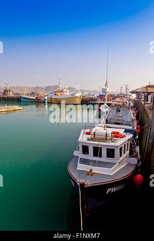 Une collection de divers navires de pêche dans le port de Padstow, Cornwall, England, UK Banque D'Images