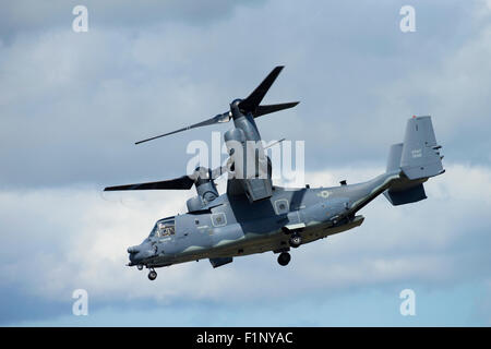 L'un des débuts de cette année les participants à RIAT 2015 a été cette exploitation Bell/Boeing annonce-22B Balbuzard. Banque D'Images