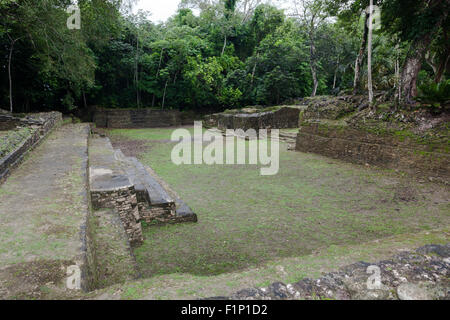 Une ancienne cour intérieure en pierre entouré par une jungle dense à l'extérieur du temple de Jaguar à Lamanai ruines Maya au Belize. Banque D'Images