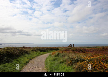 Sentier menant à fleurs en ruines d'une papule Coates Tin Mine engine house, près de St Agnes, Cornwall, Angleterre Banque D'Images
