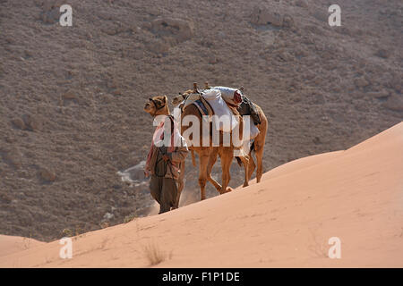 Propriétaire de chameaux bédouin de la Jordanie. Banque D'Images