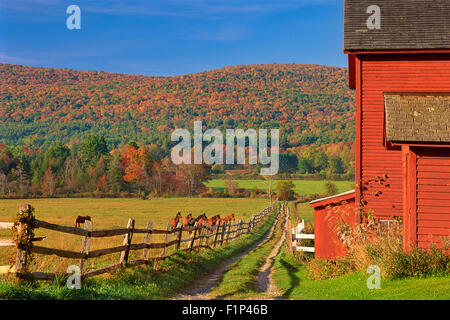 Grange et chevaux à Tyringham, Massachusetts, USA Banque D'Images