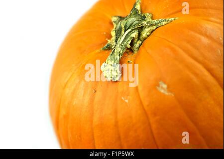 Citrouille fraîche isolé sur fond blanc. Banque D'Images